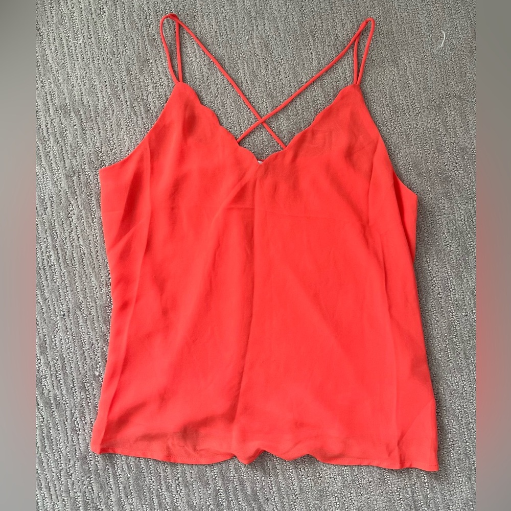 Naked Zebra Scalloped Tank